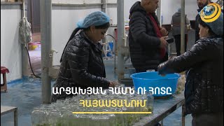 Արցախյան բաղադրատոմս, տեղական հումք. ասկերանցի գործարարը փոքր արտադրություն է հիմնել Արմավիրում