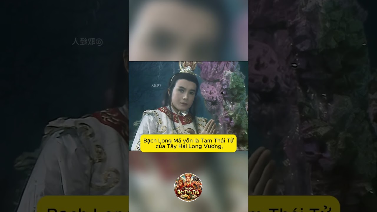 Vì sao Bạch Long Mã trên đường thỉnh kinh chưa từng nói chuyện trong Tây Du Ký?