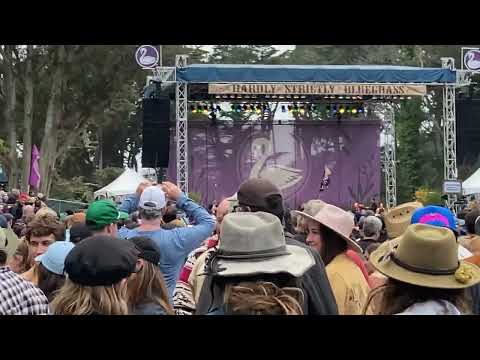 Jerry Harrison and Adrien Belew -Houses in Motion- LIVE