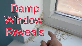Leaking Window Damage. Wall Texture Repair