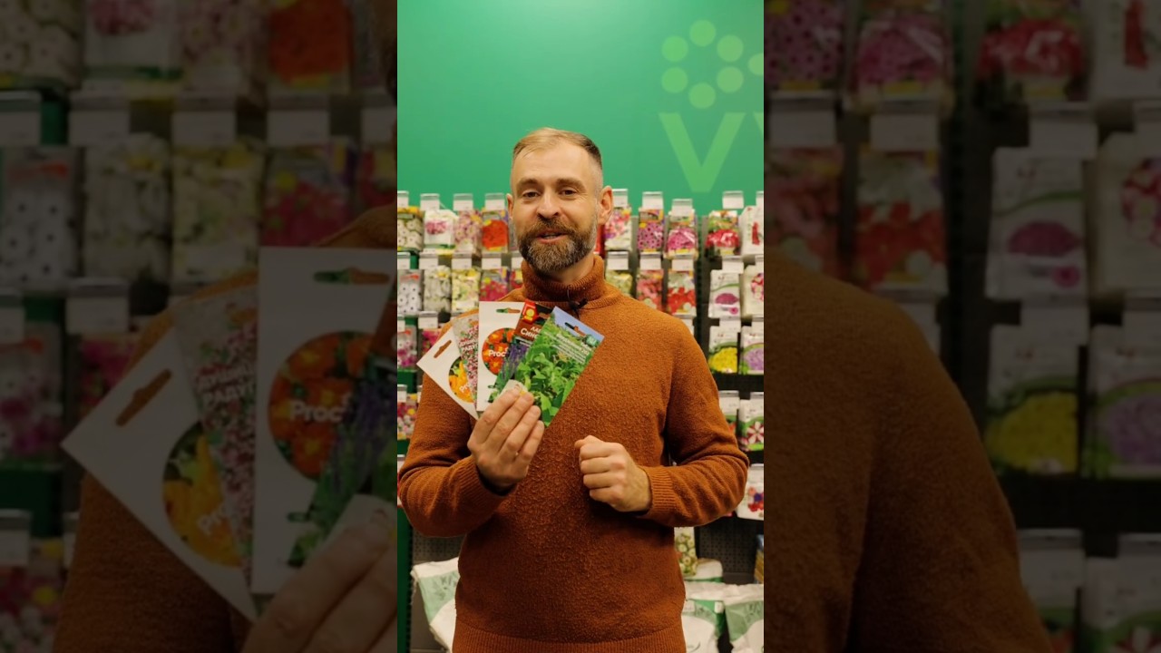 Цветы от вредителей! Отпугнут вредных насекомых и увеличат урожай!