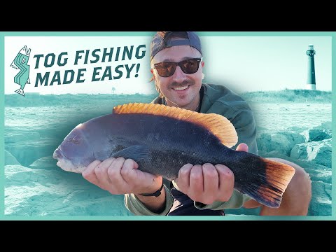 How to Catch Tautog from the Jetty: The Ultimate Guide