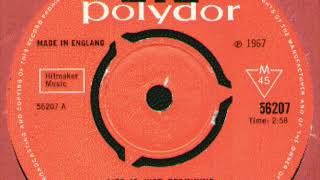 The Creation – Life Is Just Beginning