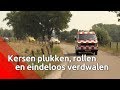 Deze aflevering is me d'r eendje! ;-) - Brabants Buske