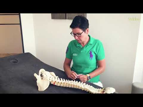 PRT-Therapie - kleiner Pieks, große Wirkung - Privatarztpraxis Dr. med. Heidi Stobbe