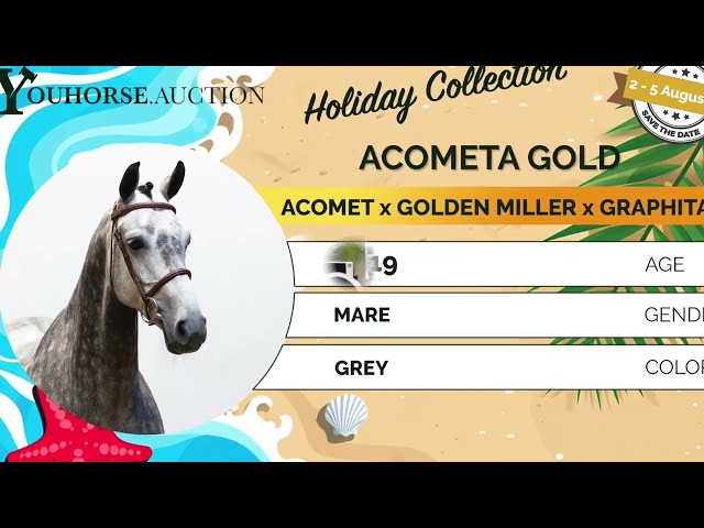 Acometa Gold showvideo outdoor