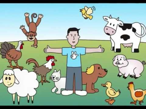 PAZ video