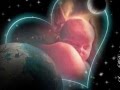 Bereaved Mothers Love
