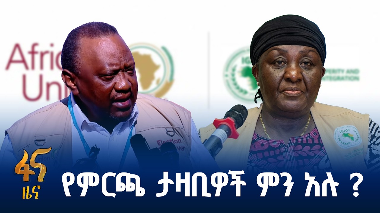 የታዛቢ ቡድኑ የመጀመሪያ ደረጃ ሪፖርት