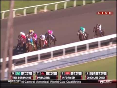 2009 Goodwood Stakes