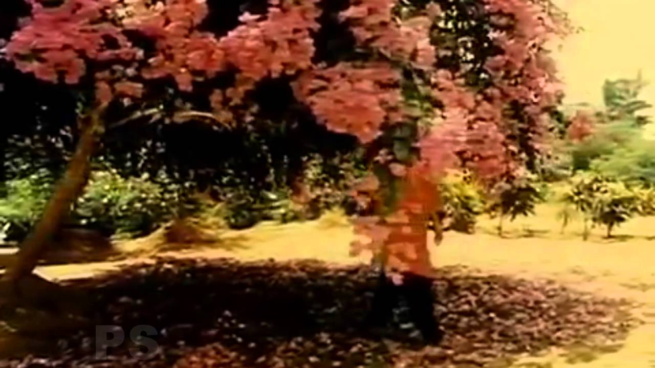 Unavu Sellavillai Sagiye (Sad) Song Lyrics | Samsarame Saranam