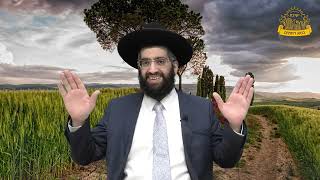 מחצב לבושי הנשמות!" |הרב אלרועי כהן| מתיקות התניא (מוסדות כיסא רחמים) - התמונה מוצגת ישירות מתוך אתר האינטרנט יוטיוב. זכויות היוצרים בתמונה שייכות ליוצרה. קישור קרדיט למקור התוכן נמצא בתוך דף הסרטון