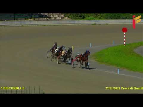 Prova di qualifica del 27 Novembre 2021 - 2 Anni - Metri 1600