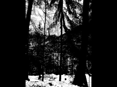 Abyzou/Ceremonial Crypt Desecration - S/T (2021) - *Split*