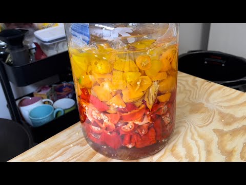 Fermented Louisiana Style Hot Sauce Recipe