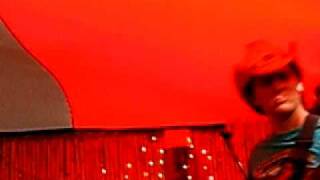 Captain Stu & the Llamas at the Cape Farmhouse