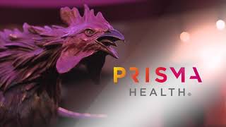Prisma Health – Official Healthcare System and Team Physicians of the Gamecocks