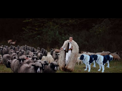 Ionut Nemes - Boala oilor 🐏 (Official Music Video)💙💛❤️