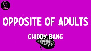 Chiddy Bang - Opposite of Adults (lyrics)