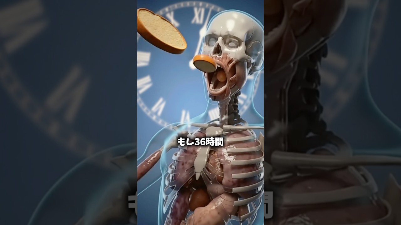 36時間食事をしなかったら体内で起きる変化