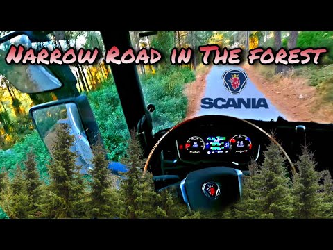 Narrow Road POV Driving a Scania 540 in the Forest 🌳😱