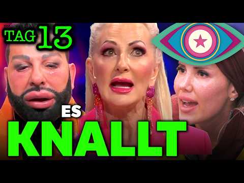 SHOW AUßER KONTROLLE 🚨 Désirées LÄSTER-COMEBACK! Promi Big Brother 2025 Tag 13