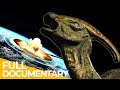 The Last Day of the Dinosaurs | FD Ancient History