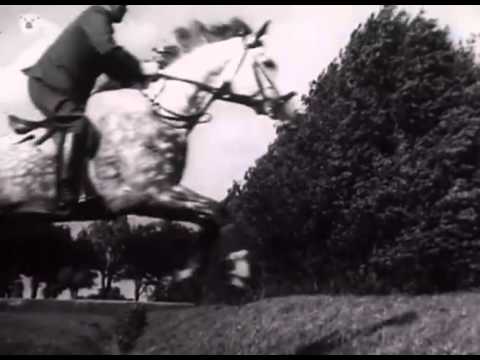 Schleppjagd (Einblick von Ostpreußen, wie es war)