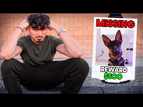 I havent seen MY DOG in 6 months...