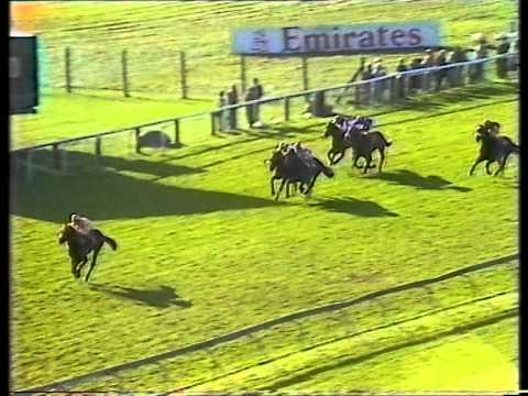 1987 Philip Cornes Houghton Stakes