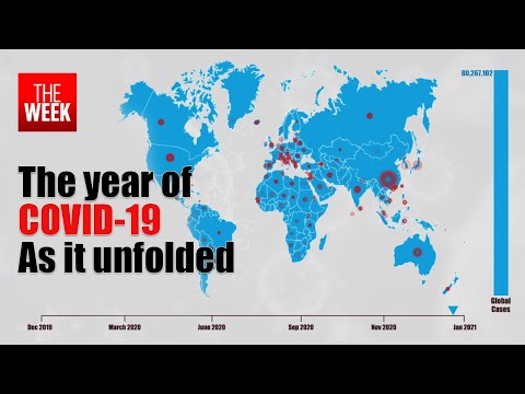 COVID 19 Timeline: How it conquered the world