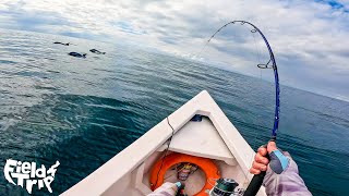 Dolphins Help Us Catch GIANT Tuna - Offshore Fishing Panama