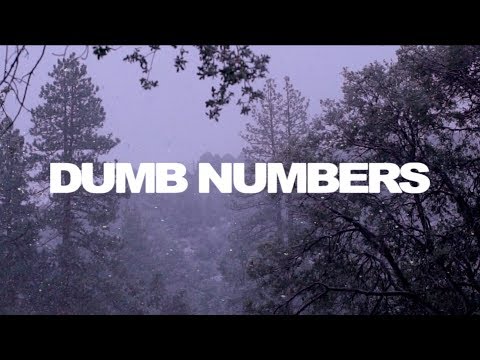 Dumb Numbers - Stranger EP (Album Teaser)