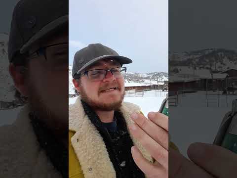 Case Blade Steel Types Review. Deep South Cutlery Knife Review.