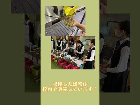 商学科 多治見西高校ショートムービー