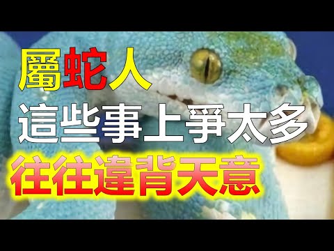 屬蛇適合的工作