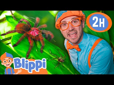 Blippi Explores A Spider Playground! |  Blippi and Meekah Best Friend Adventures | Educational Video
