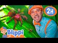 Blippi Explores A Spider Playground Blippi And Meekah Best Friend Adventures Educational Video