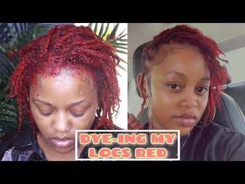 I DYED MY LOCS RED - 6 MONTH STARTER LOCS, NO BLEACH,...