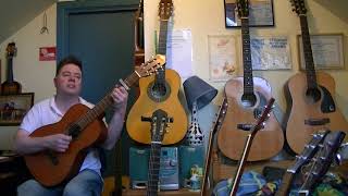 The Clancy Brothers, Tommy Makem: "Tim Finnegan's Wake" Live 1962 (classical guitar cover)