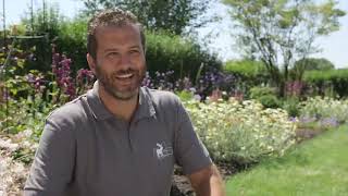 Album cover: Plumpton film 