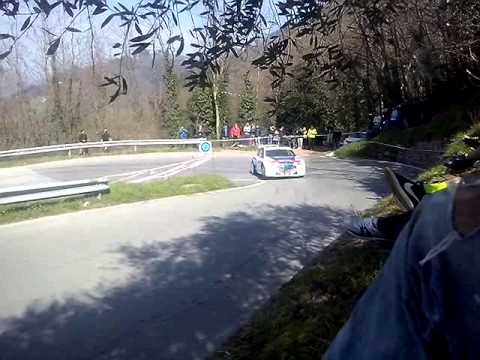 Rally del ciocco 2014Paolo andreucci 208t16