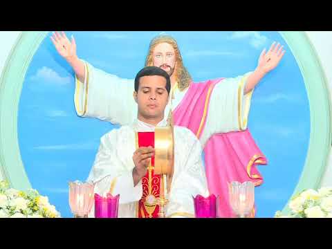 SUNDAY HOLY MASS Live @ 7.00 pm - 14.06.2020
