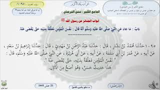 صورة شرح الجامع الكبير للترمذي : نفس المؤمن معلقة بدينه حتى يقضى عنه - الحديث 1095 || ماهر ياسين الفحل