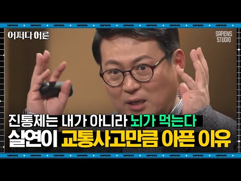 김경일 인지심리학자 #13 | 실연당했을 때, 진통제를 먹으면 효과가 있을까? | #어쩌다어른 #사피엔스
