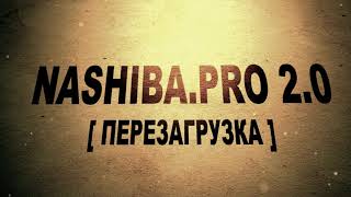 Nashiba.PRO 2.0 [Перезагрузка]