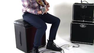 Video thumbnail for Dr. Green Life Support Guitar Sustain and Compression Pedal. by Hayden Amps