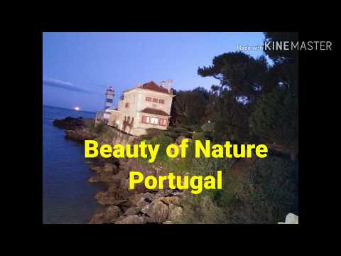 Nature Beauty of Portugal/natureza beleza de Portugal/Bonito Natureza Cascais/Love Nature/Love Earth