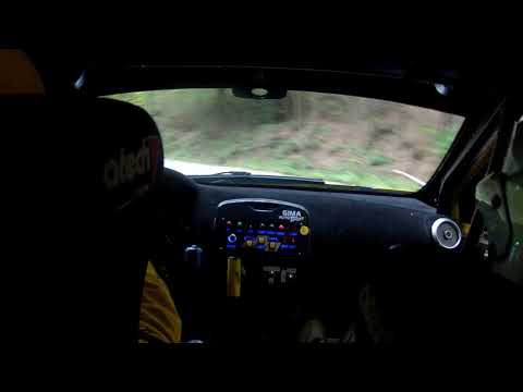 ONBOARD DALDINI - ROCCA 1° Rally Castelli Piacentini 2018