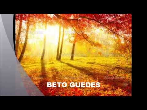 Sol de Primavera video